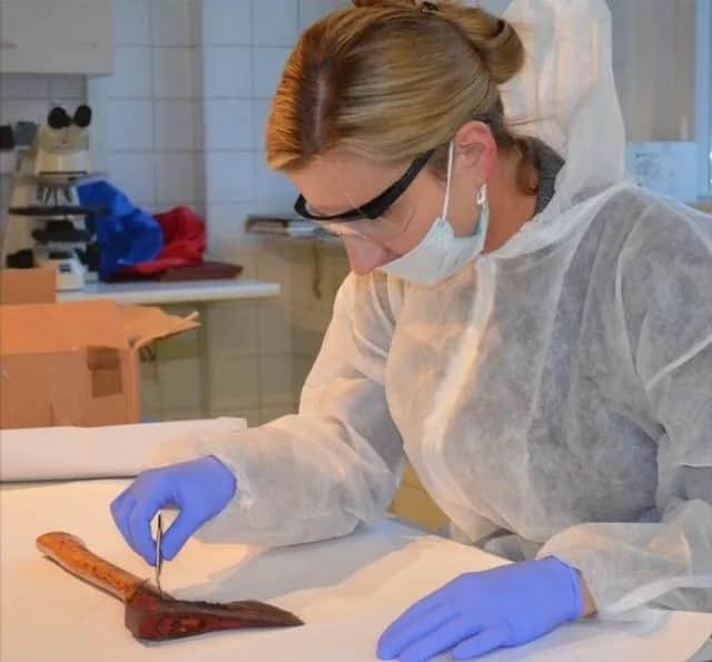 Jak się dostać do laboratorium kryminalistycznego? Kluczowe informacje