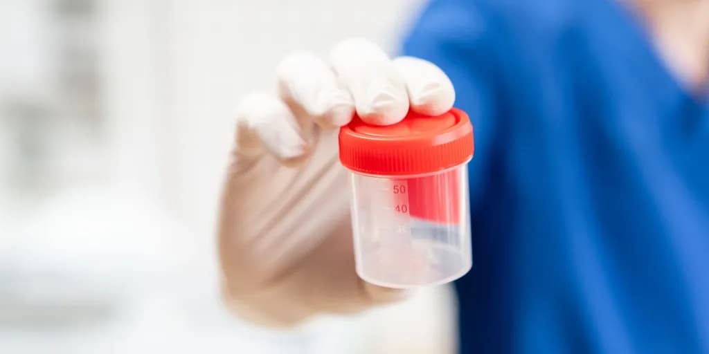 Ile kosztuje test na narkotyki w laboratorium? Ceny w różnych miastach
