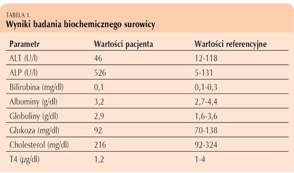 Kiedy wyniki badania krwi u psa? Zrozumienie wyników i ich znaczenie