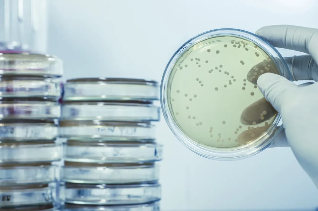 Częste infekcje u dziecka: jakie badania pomogą ustalić przyczynę?