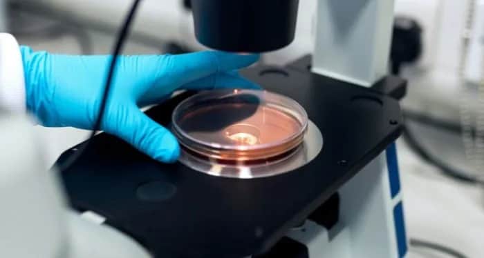 Co to jest laboratorium akredytowane i dlaczego ma to znaczenie?