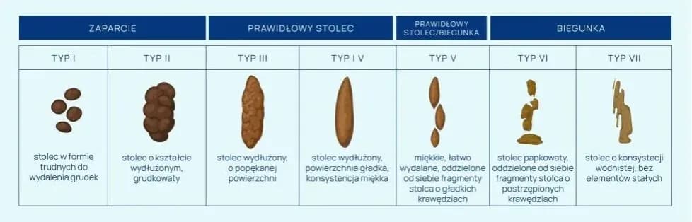 Jak przygotować kał do badania - uniknij najczęstszych błędów