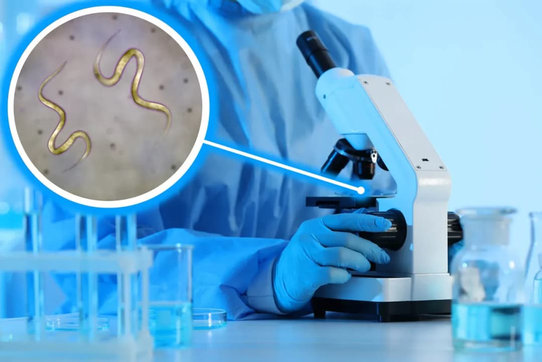 Jak się przygotować do badania kału, aby uniknąć błędów i stresu